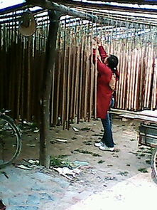 河南竹木加工廠 竹簽、二手制香機(jī)與營林機(jī)械制造的綜合服務(wù)