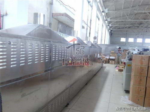 提高食品質量的助手微波殺菌設備